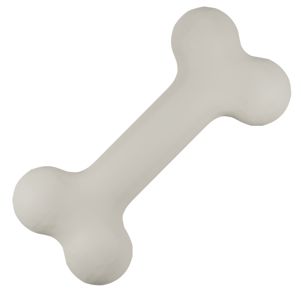 Illustration of a White Bone 3D png