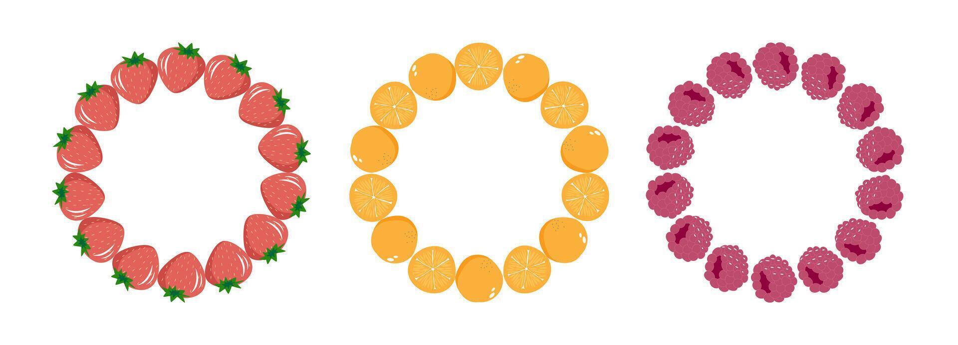 Fruit frame set. Round wreath, border of fruits. Three different fruit slices are arranged in a circle vector