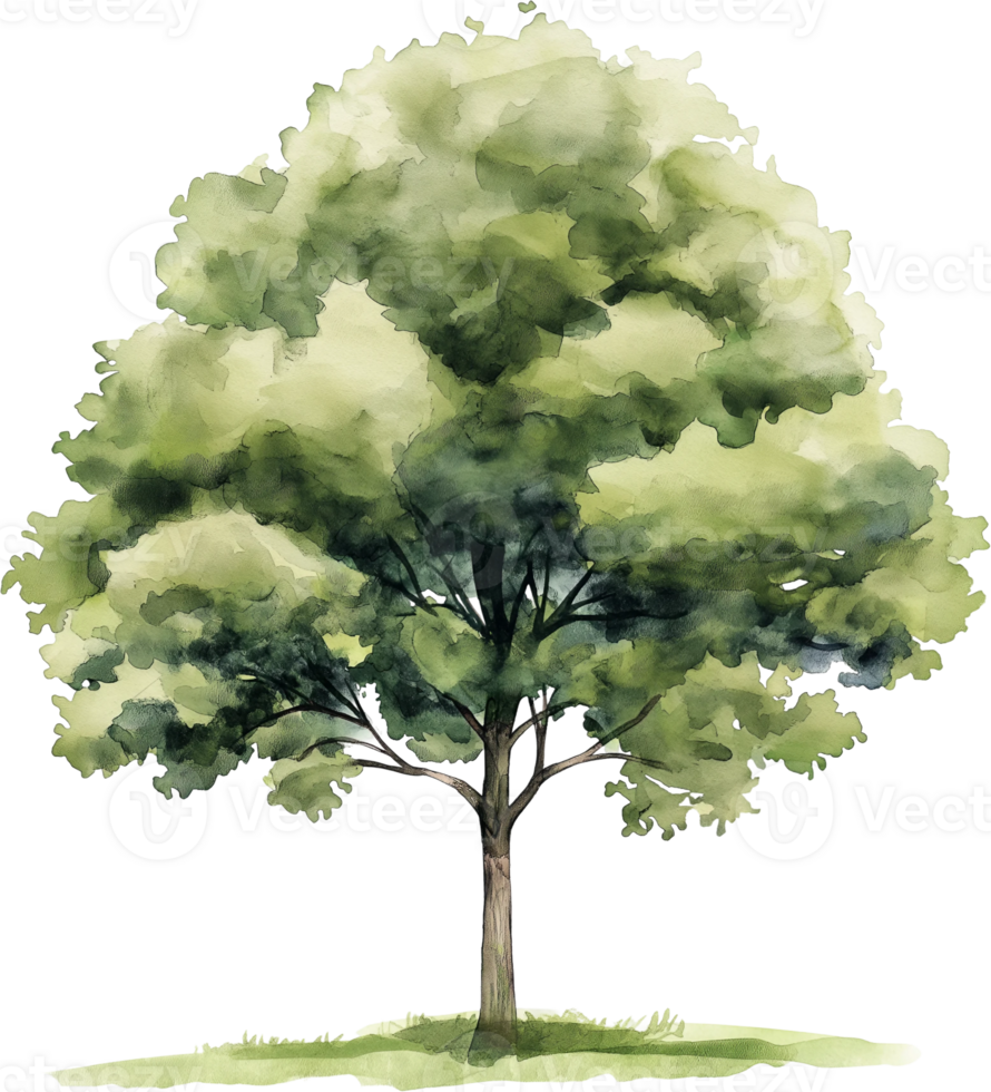 Tree clipart transparent transparent tree clipart transparent transparent tree clipart transparent transparent tree clipart transparent png