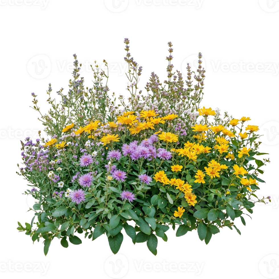 Isolated flowering shrub with purple, yellow and green plants on transparent background, showcasing diverse blooms ideal for garden borders and mixed landscaping png