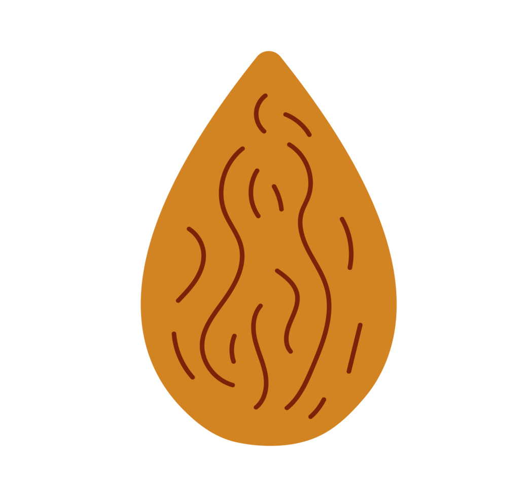 Almond Illustration. Simple Nut Icon - Clean and basic illustration of a single almond. Transparent background. png
