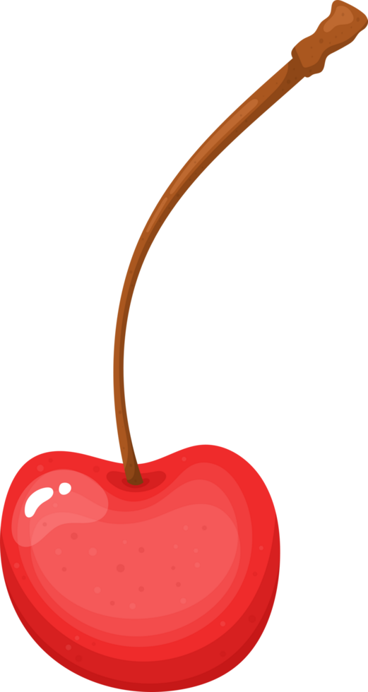 Illustration of a bright red cherry with a long brown stem. png