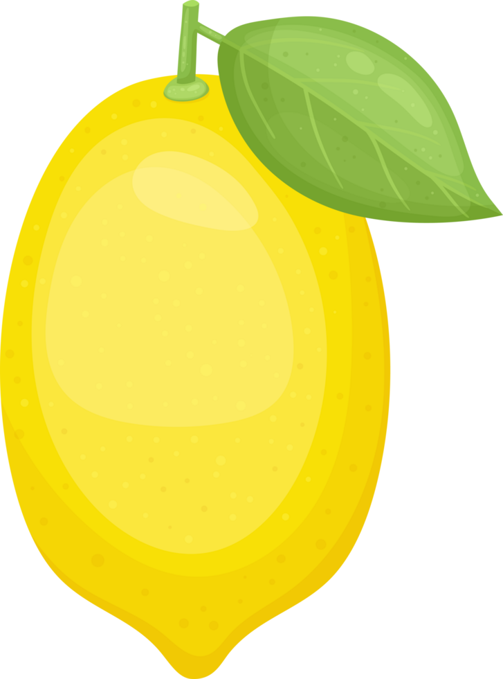 Bright Yellow Lemon with Green Leaf Illustration. Single Object. png