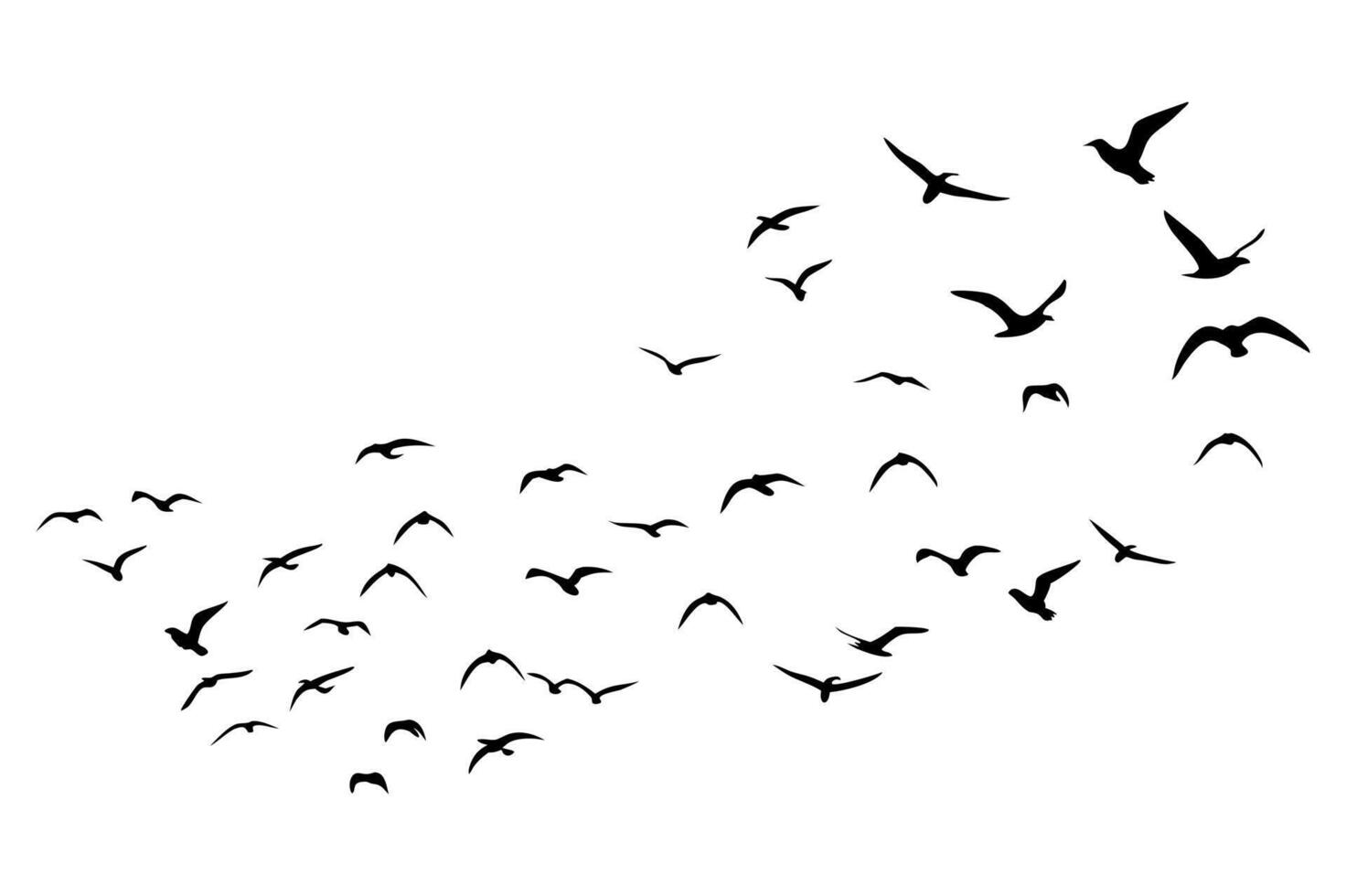 Elegant Birds in Motion vector