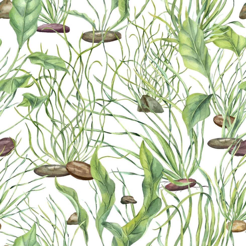 Watercolor lush green water plants swaying in underwater currents seamless pattern isolated background. Water floating kelps illustration. Aquarium ornate for marine biodiversity decor, textile vector