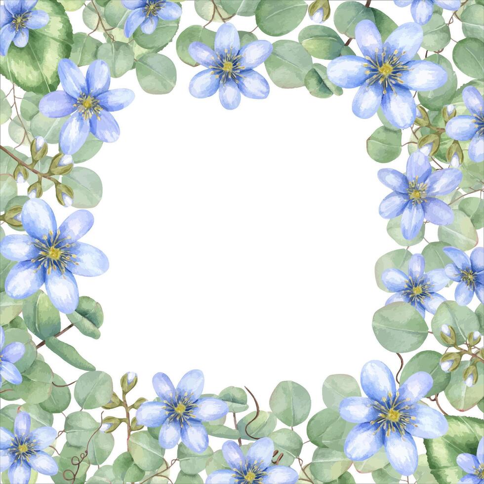 Delicate soft blue hepatica flowers and eucalyptus leaves square watercolor border empty space for text. Spring isolated illustration. Floral blank center frame for wedding invitations, stationery. vector