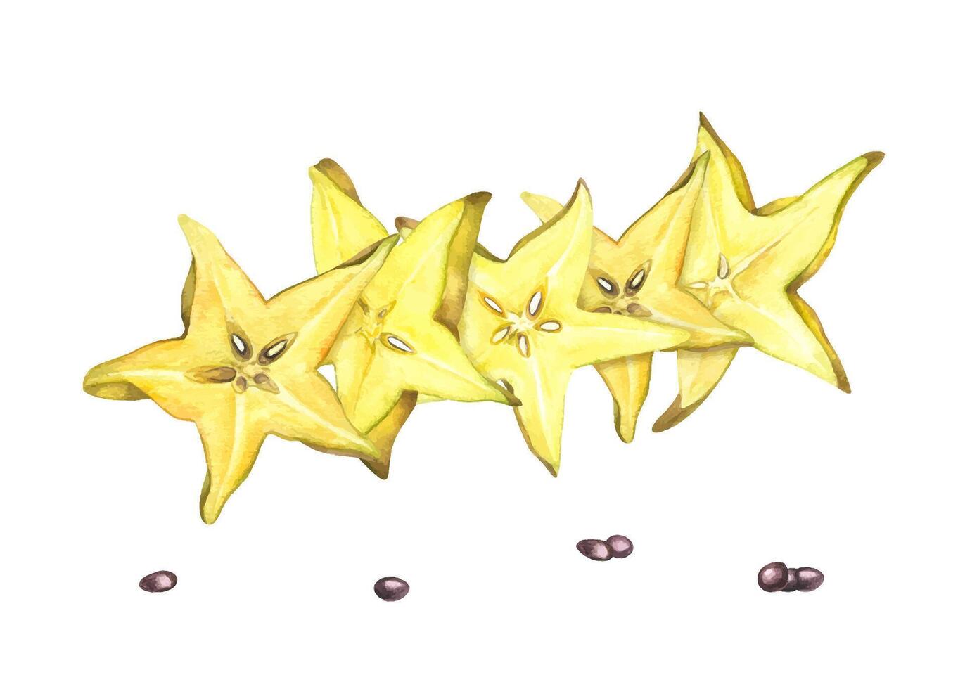 Fresh carambola slices in star shapes with seeds watercolor illustration isolated background. Tropical starfruit composition for healthy food packaging, tropical juice labels, and culinary designs. vector