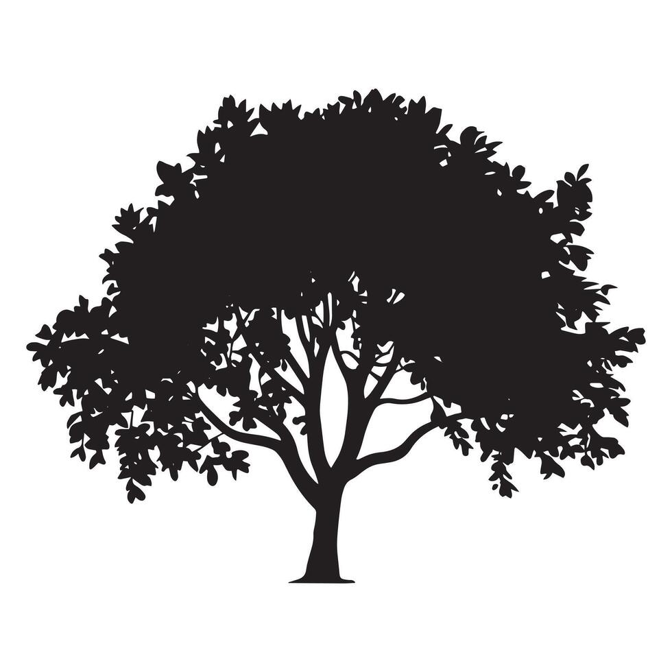 Silhouette of a Lush Tree with Full Foliage new vector