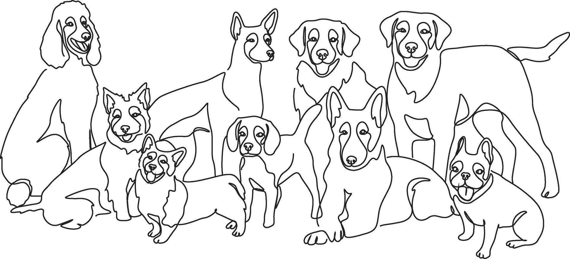 Dog Breed Bundle Drawing Line Art vector