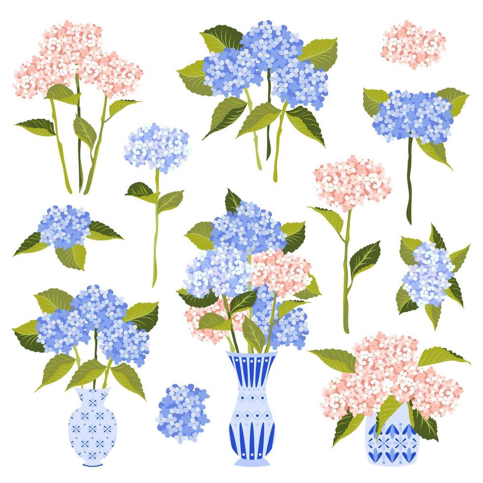 Collection of Hydrangea Flowers in Vases. vector