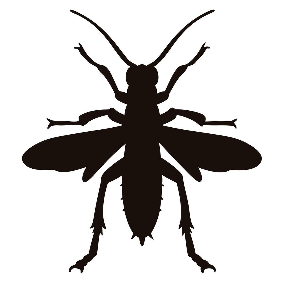 Detailed insect silhouette graphic design element perfect for nature themed projects logos illustrations and entomological studies vector
