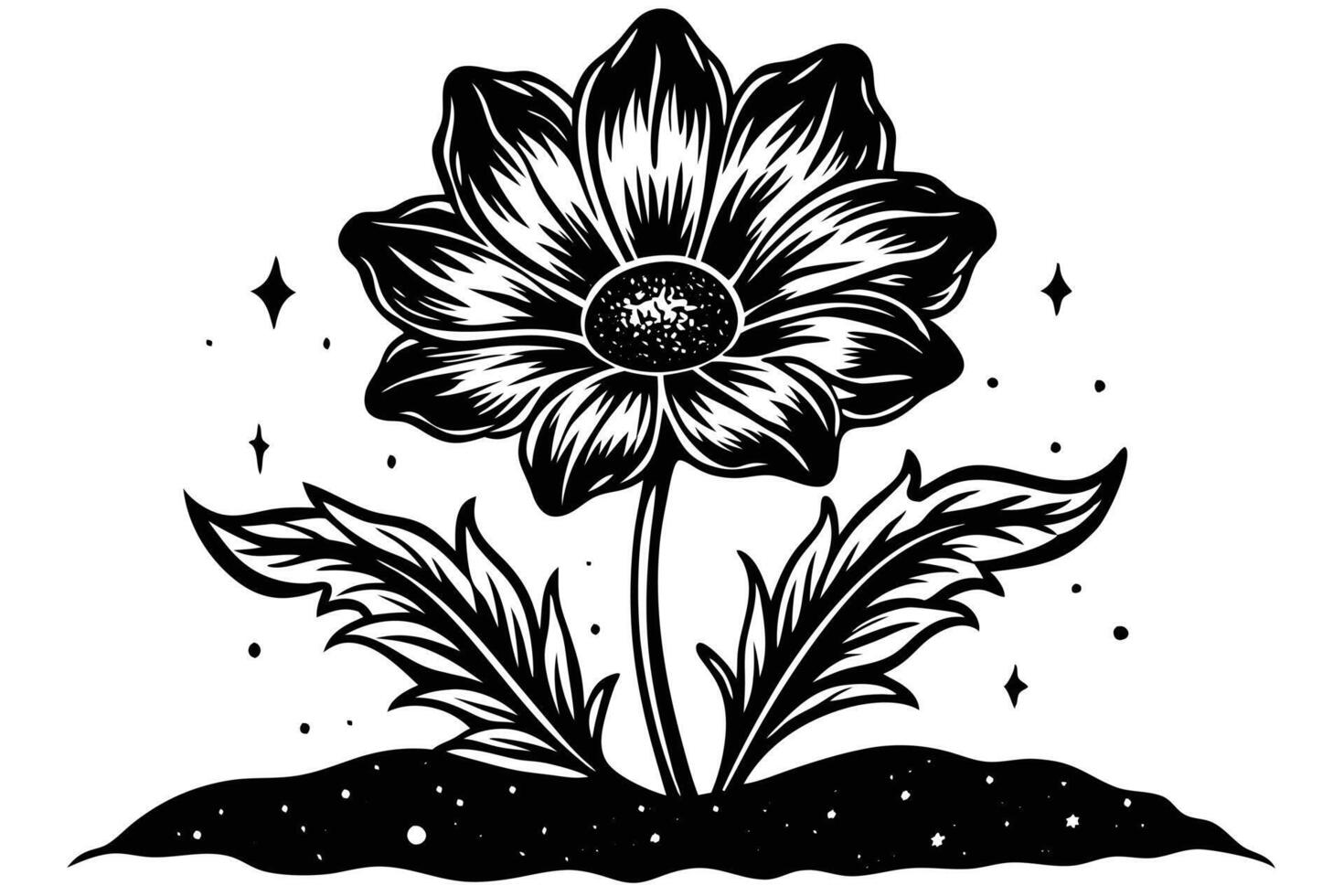 Black and White Dahlia Illustration vector
