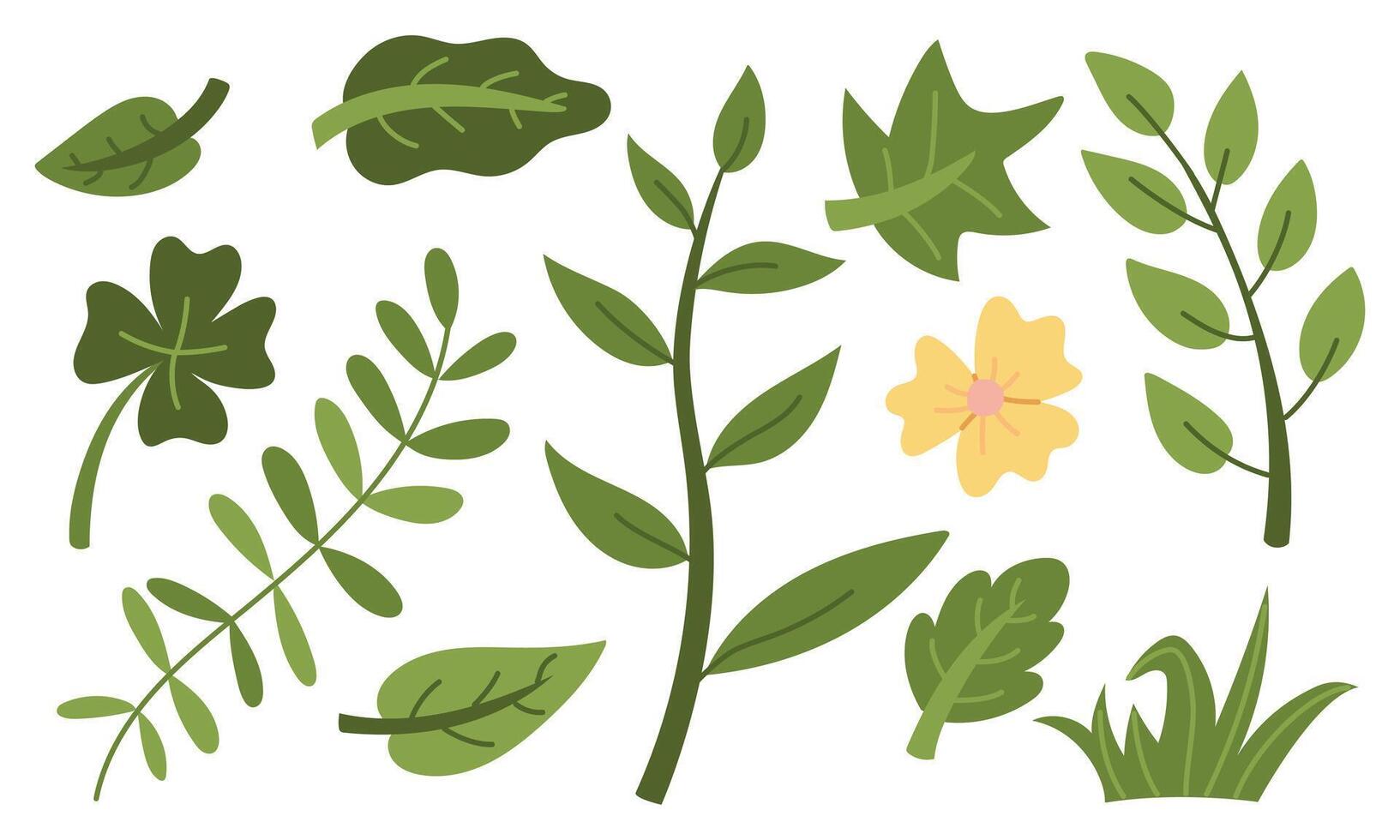 set of green garden branches and leaves. Flowers, bushes, branches, leaves, grass. Flat color isolated illustration. Greenery in the garden. Suitable decorating children's and nature projects, prints vector