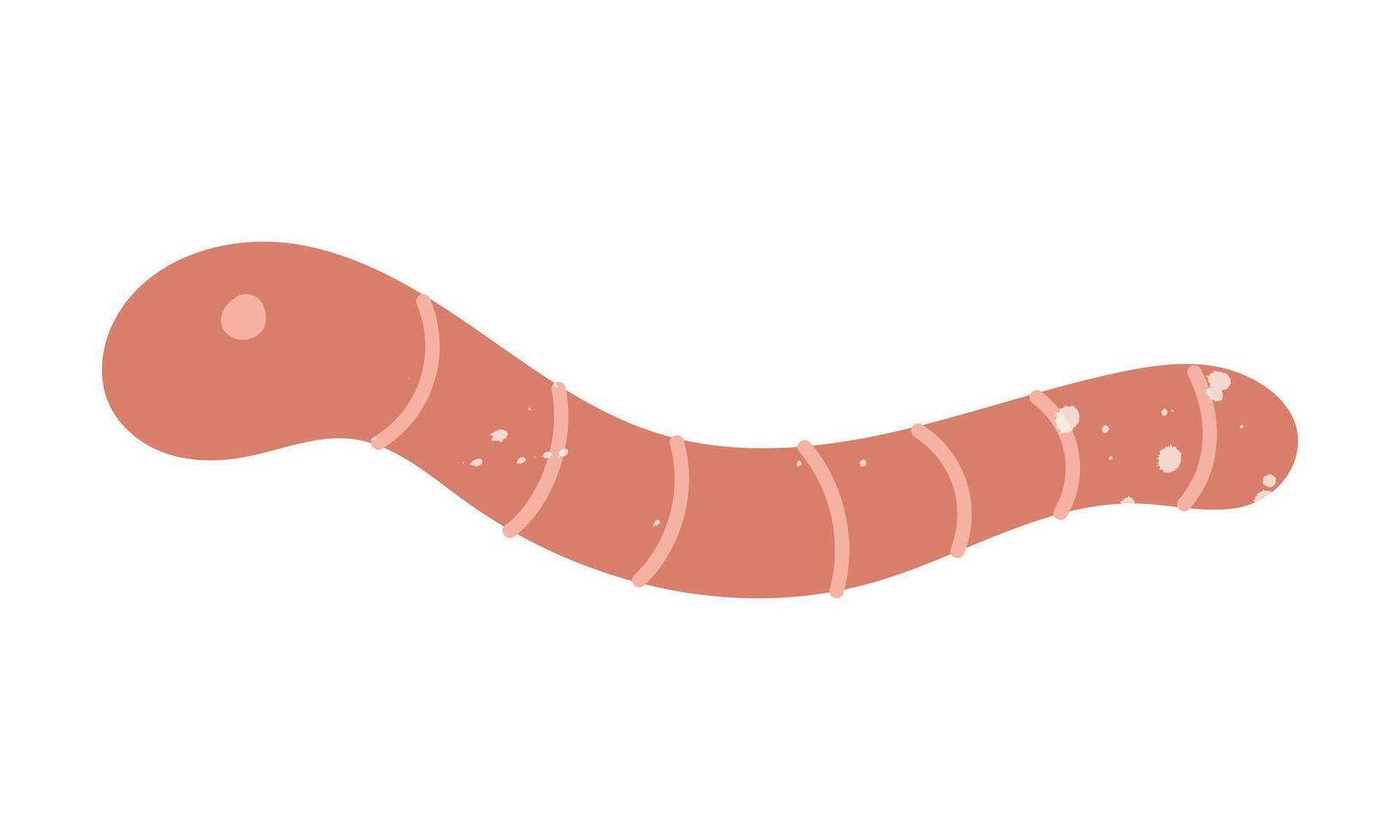 rainworm in texture. Pink striped. Flat isolated color doodle illustration. An insect in the garden. Perfect for prints, packaging, posters, blogs and children's or nature projects in a cozy style vector
