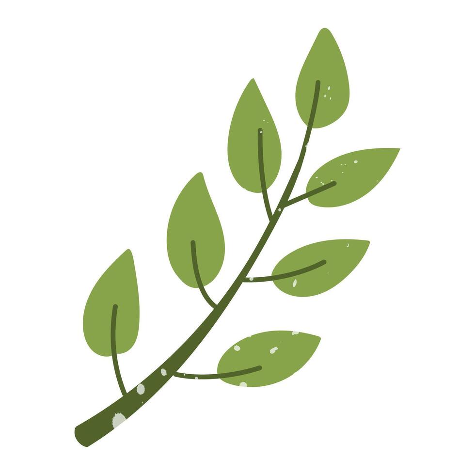 birch branch with a texture. Flat color isolated illustration with doodle elements. Greenery in the garden. Suitable for decorating children's and nature projects, prints, packaging, blogs vector