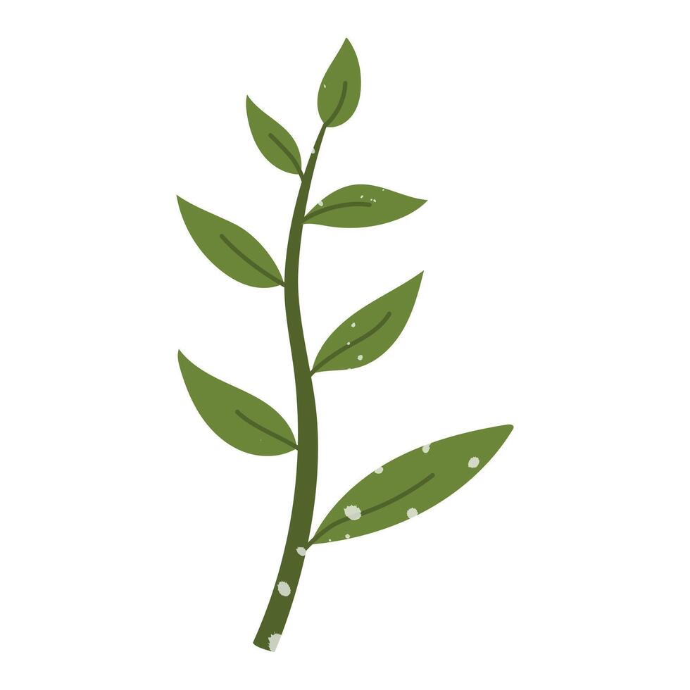 green deciduous branch with a texture. Flat color isolated illustration with doodle elements. Greenery in the garden. Suitable for decorating children's and nature projects, prints, packaging, blogs vector