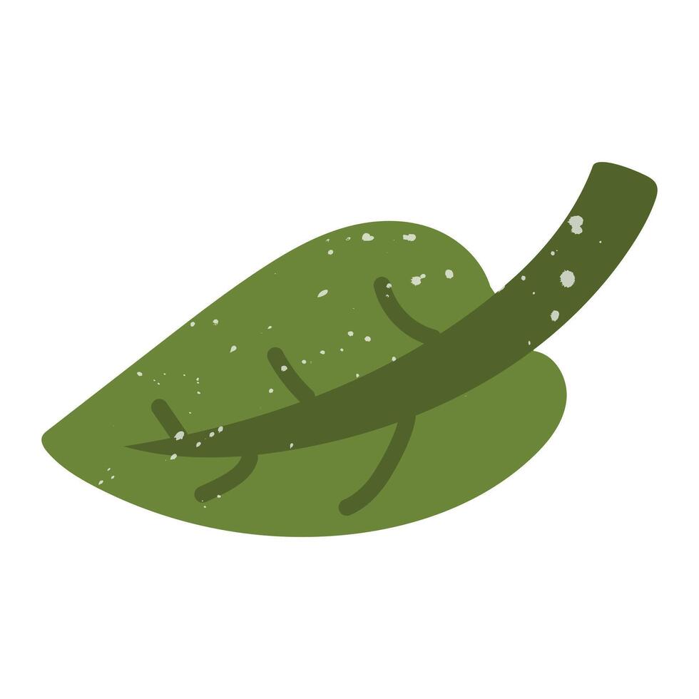 green lime leaf with a texture. Flat color isolated illustration with doodle elements. Greenery in the garden. Suitable for decorating children's and nature projects, prints, packaging, blogs vector