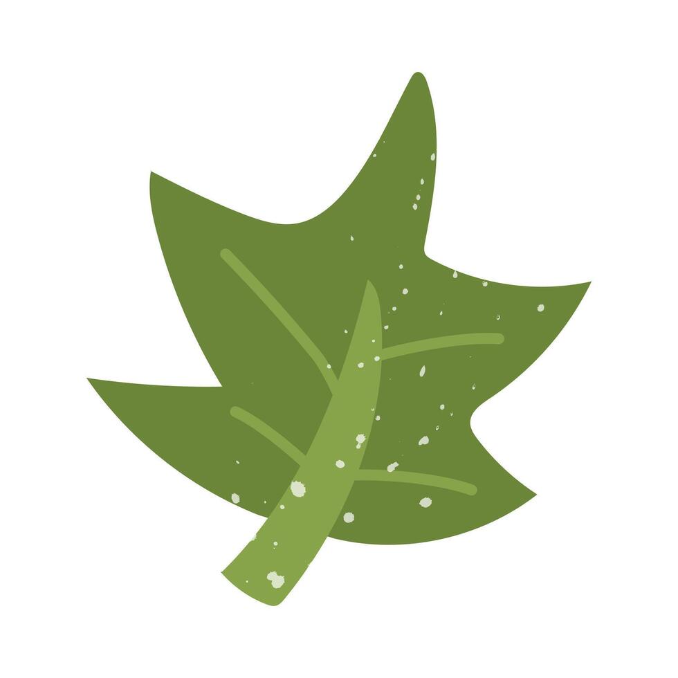 green maple leaf with a texture. Flat color isolated illustration with doodle elements. Greenery in the garden. Suitable for decorating children's and nature projects, prints, packaging, blogs vector