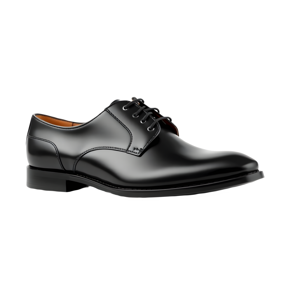 Polished Dress Shoe png