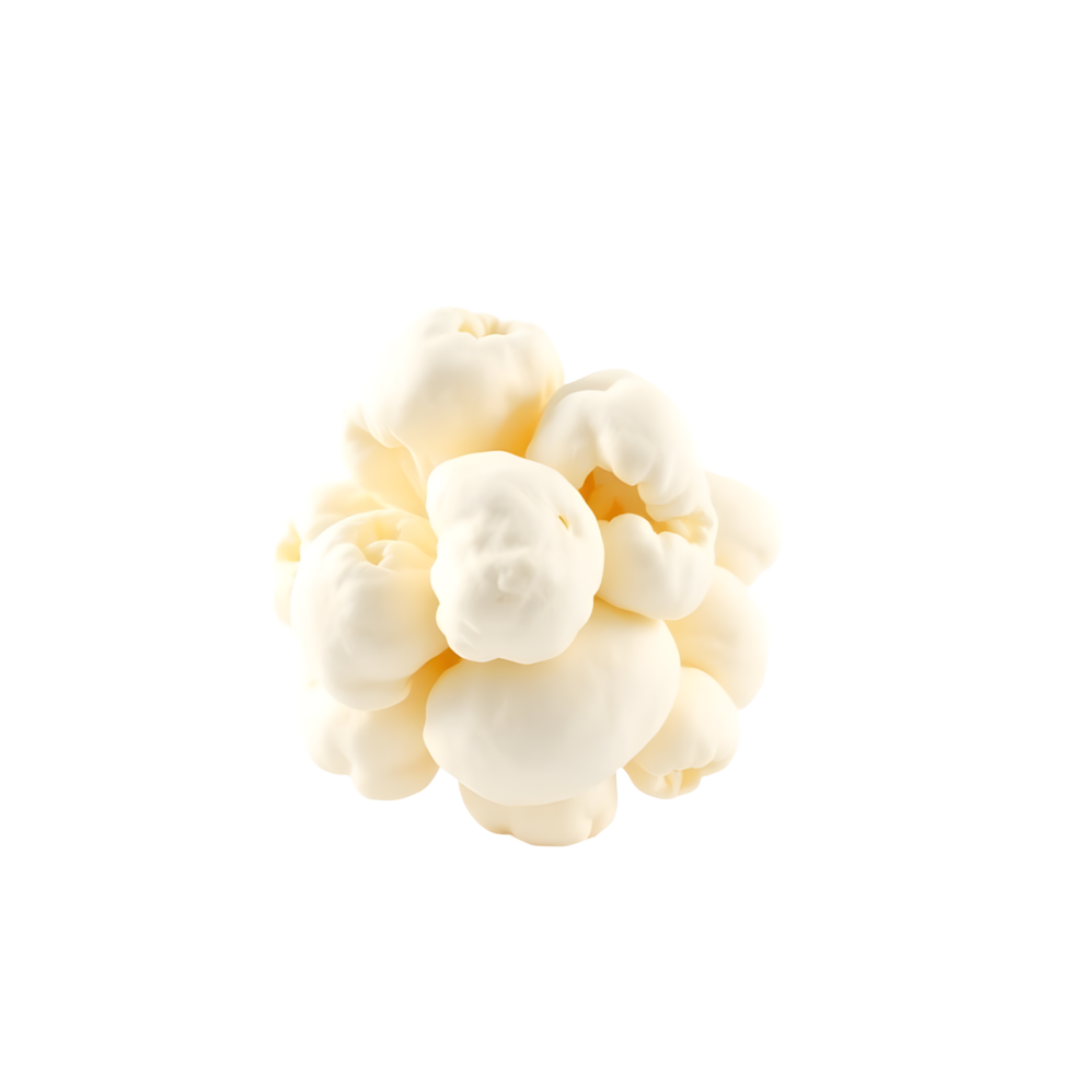 Unpopped Popcorn Kernel png