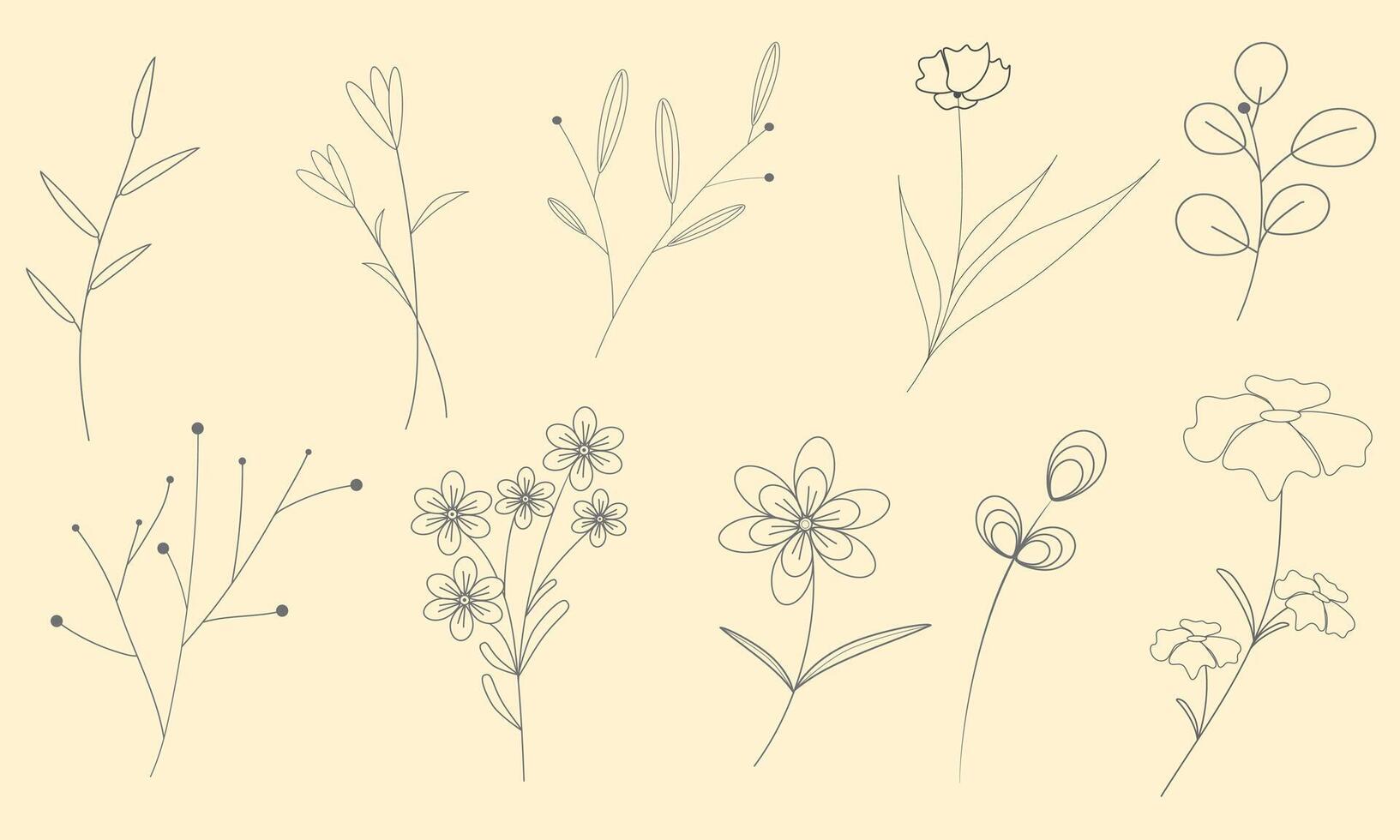 set of flowers and plants on beige light background. Background image with sketches of plants. Floral patterns on light background vector