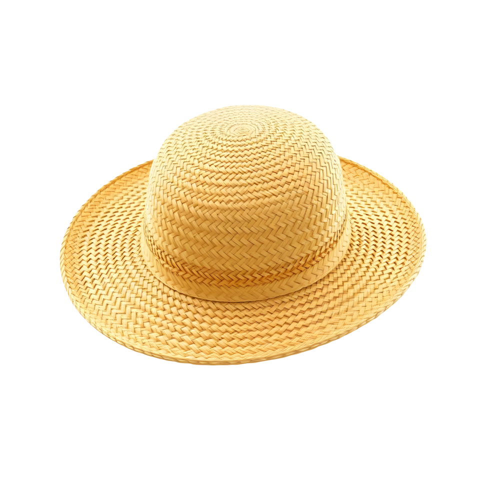 Summer Vibes Hat png