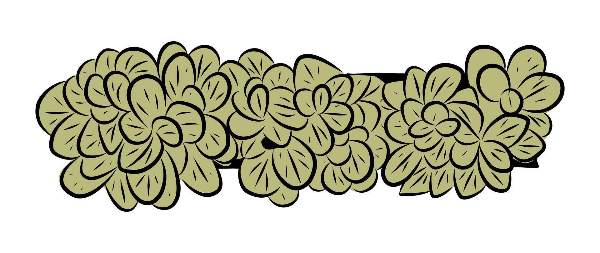 Green houseplant in a rectangular planter Top view vector