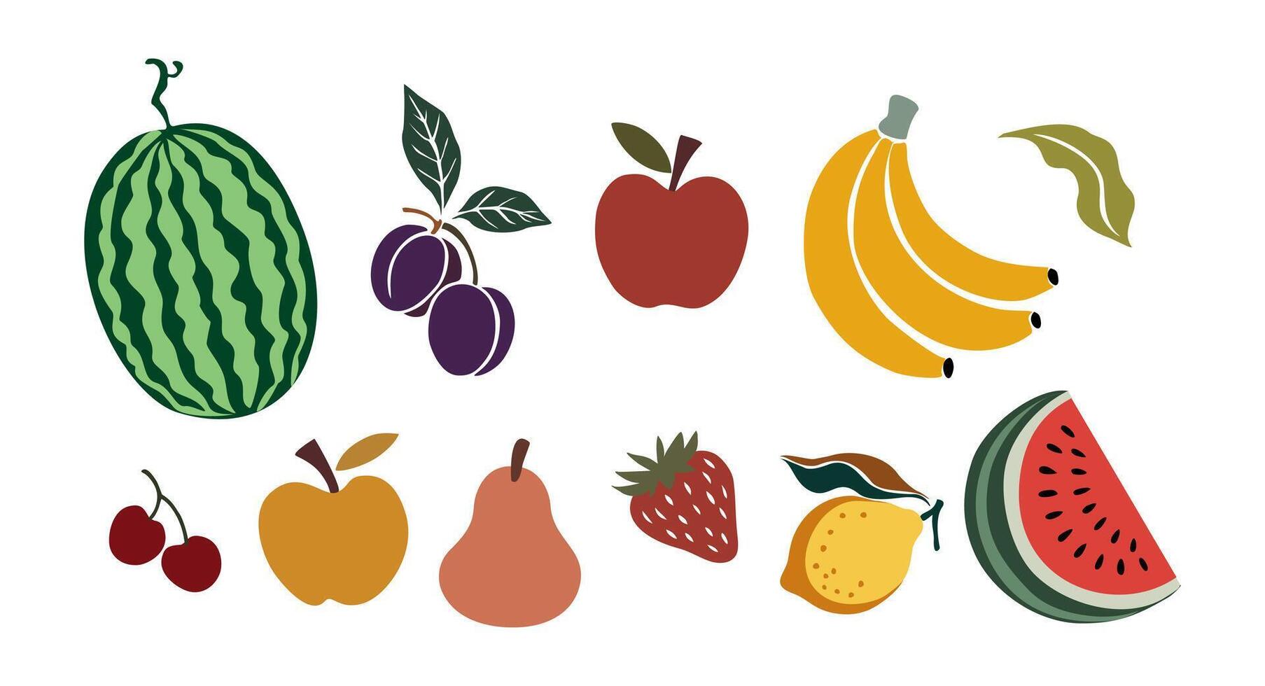 Set of summer fruits illustration Isolated vector