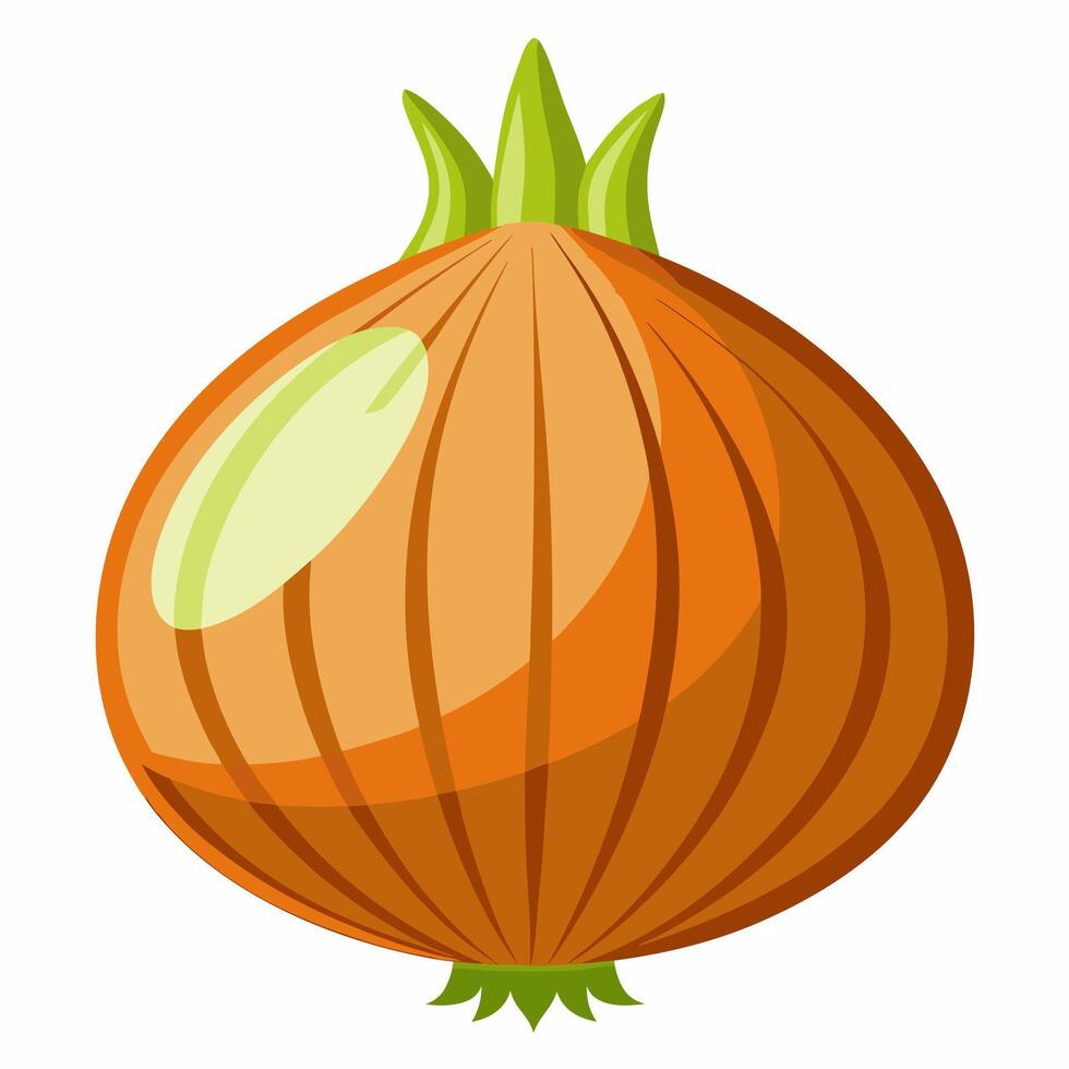 An onion is shown on a white background vector