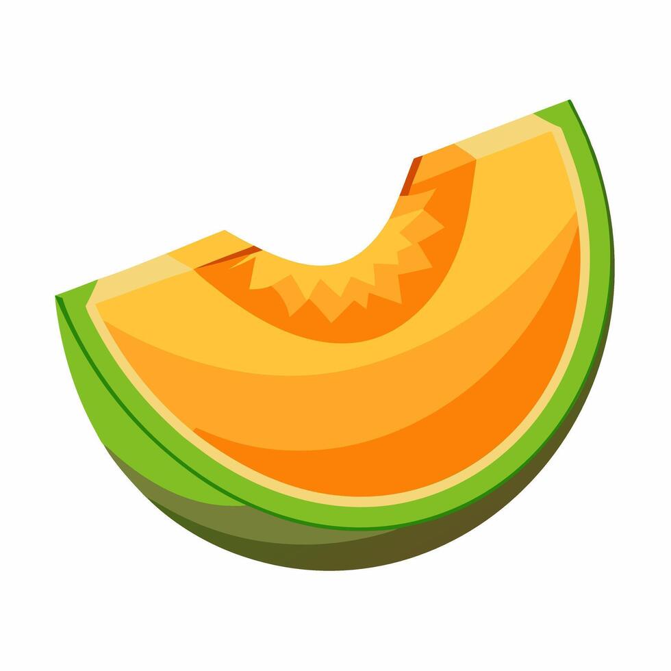 A vibrant slice of cantaloupe. showcasing its juicy orange flesh and refreshing green rind. Perfect for summer. vector