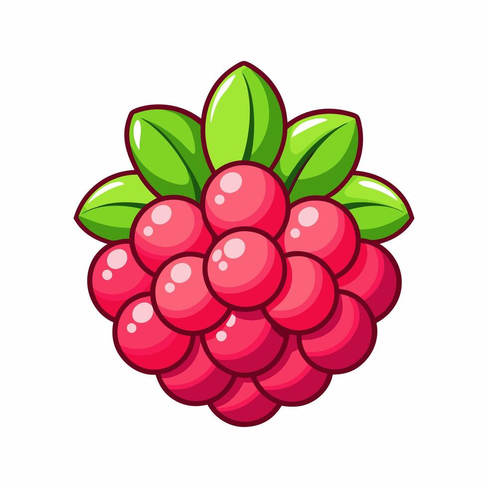 Juicy Raspberry. A Delightful Illustration vector