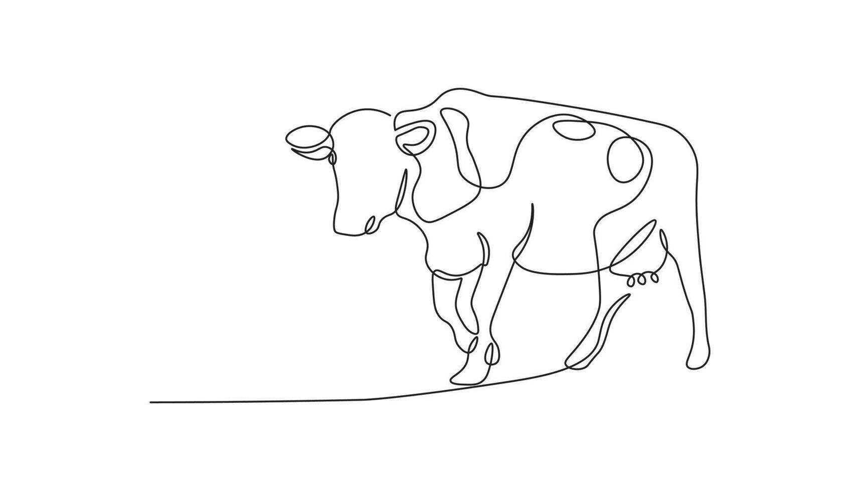 Cow in continuous line art drawing style. Minimalist black linear sketch isolated on white background vector