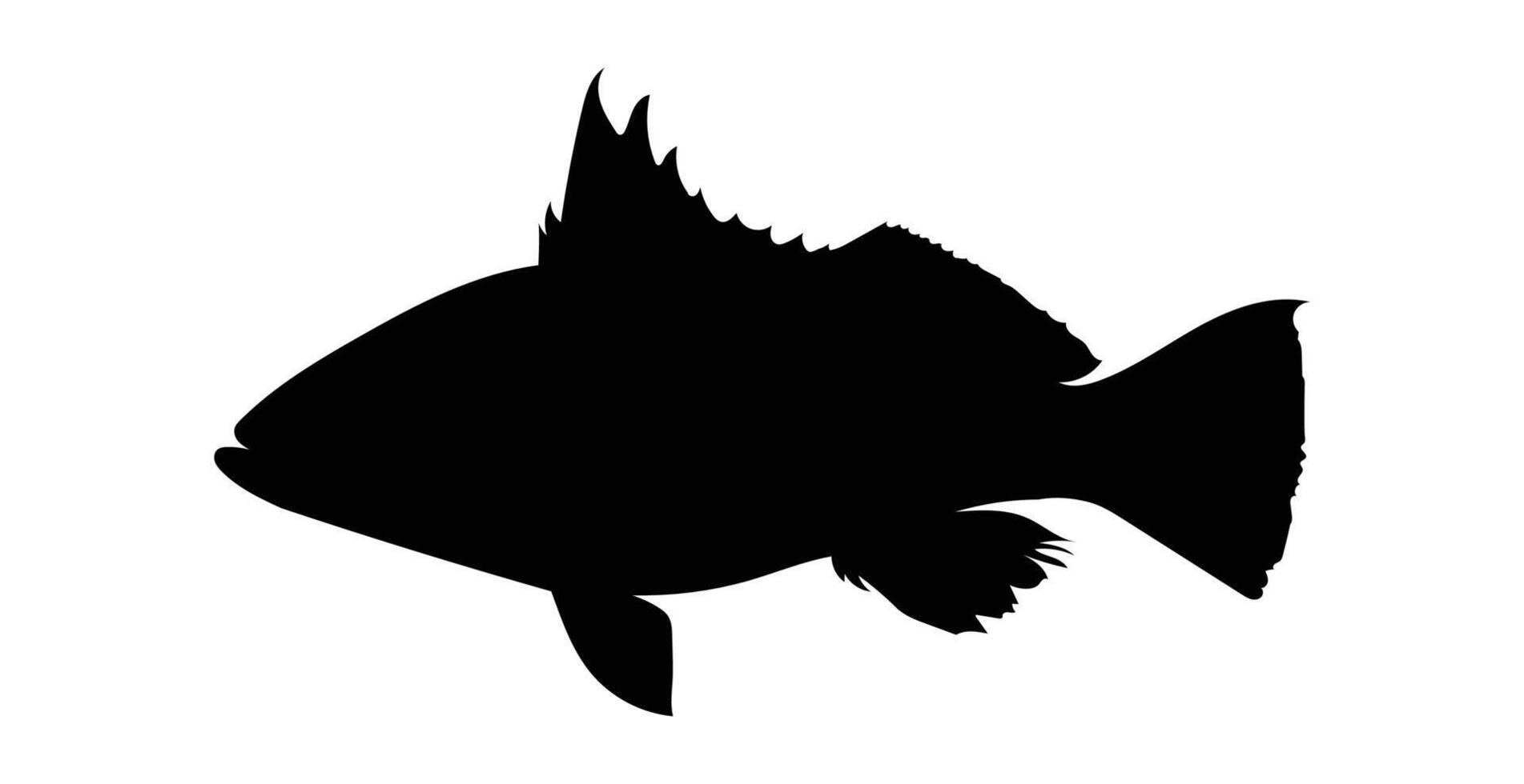 Silhouette sand bass fish isolated on white background vector