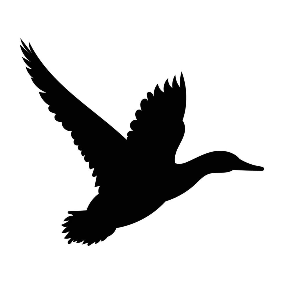 Flying duck silhouette on white background vector