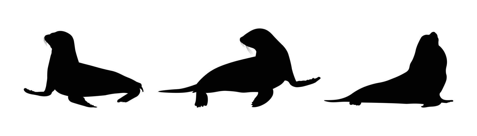 Sea Lion Silhouette in different poses flat style vector