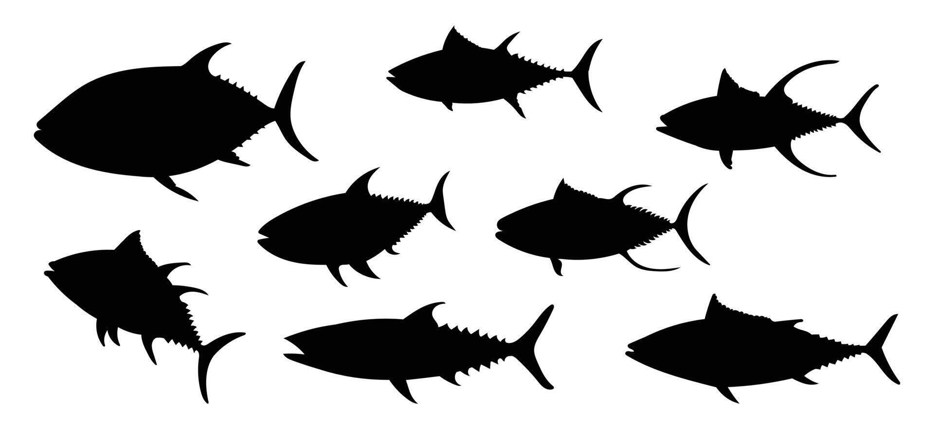 Silhouette tuna fish isolated on white background, vector