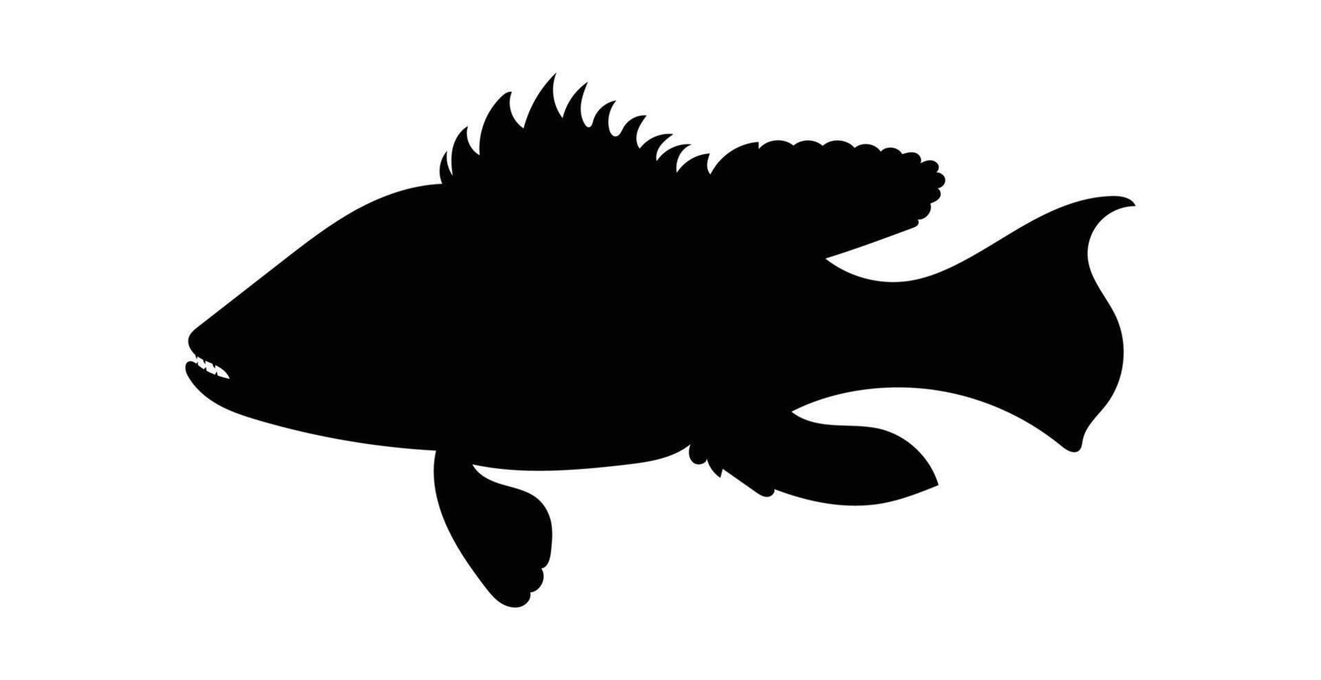 Silhouette seabass, barramundi fish isolated on white background, vector