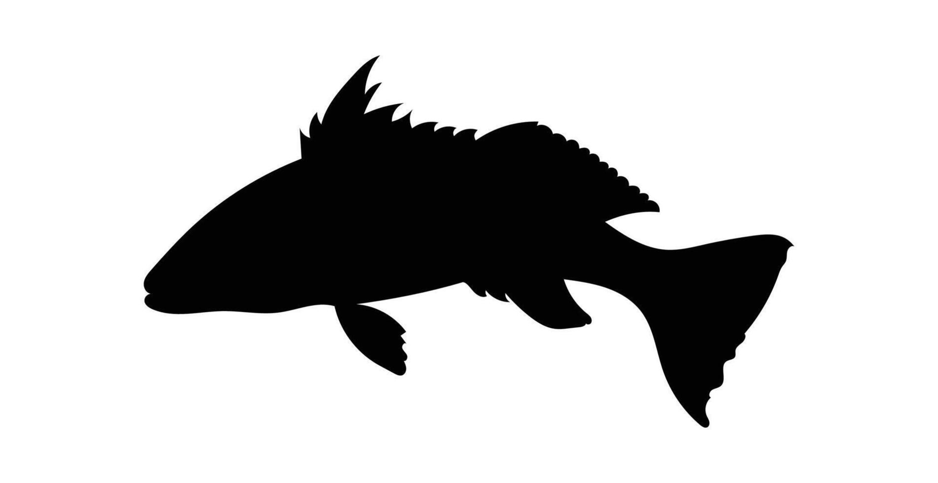 Silhouette sand bass fish isolated on white background, vector