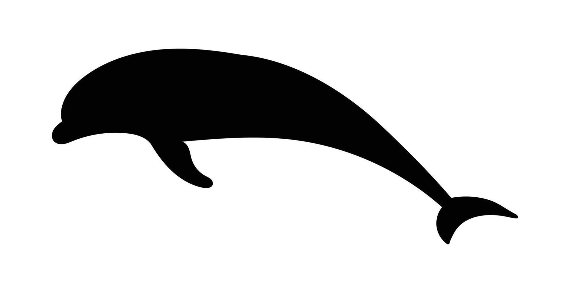 Silhouette dolphin black isolated on white background, vector