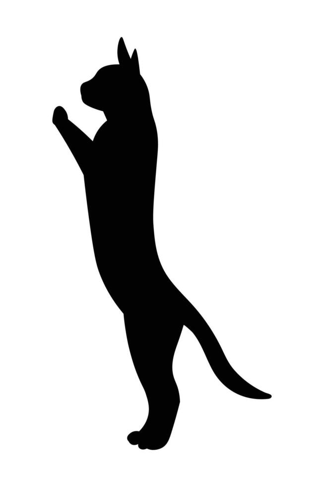 Cat silhouette isolated on white background vector