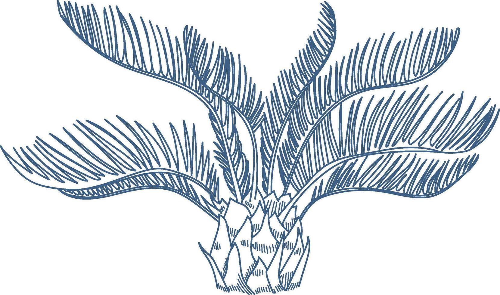 Palm Outline Sketch vector