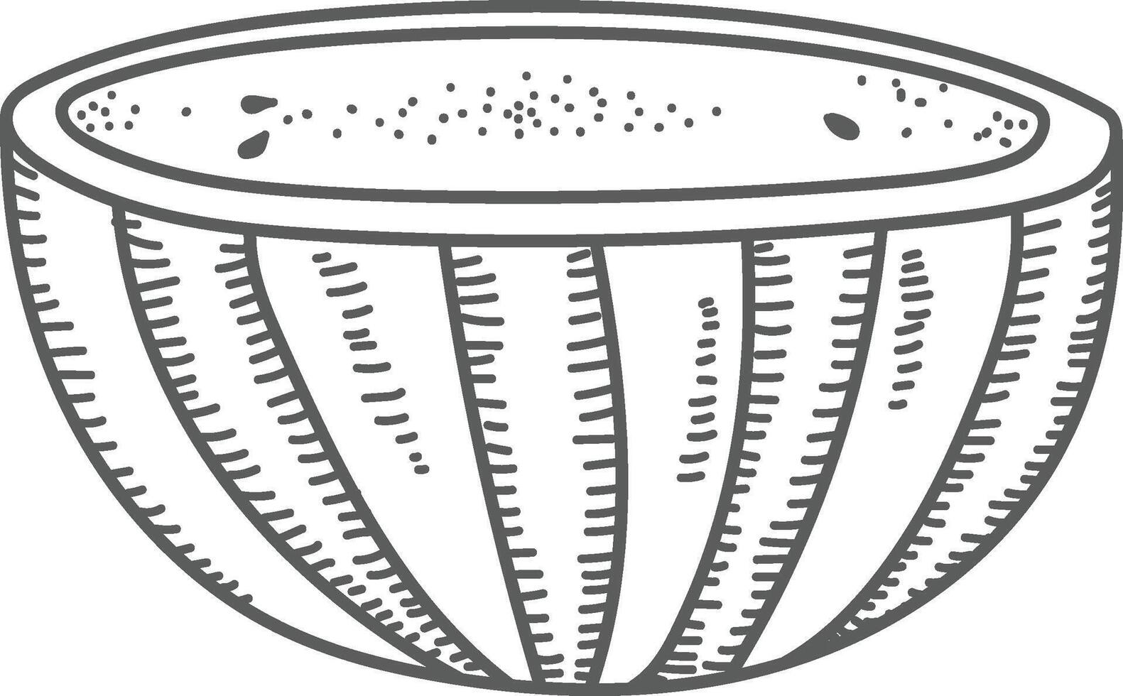 Half Melon with Seeds vector