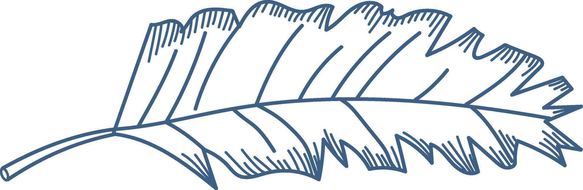 Single Leaf Sketch vector
