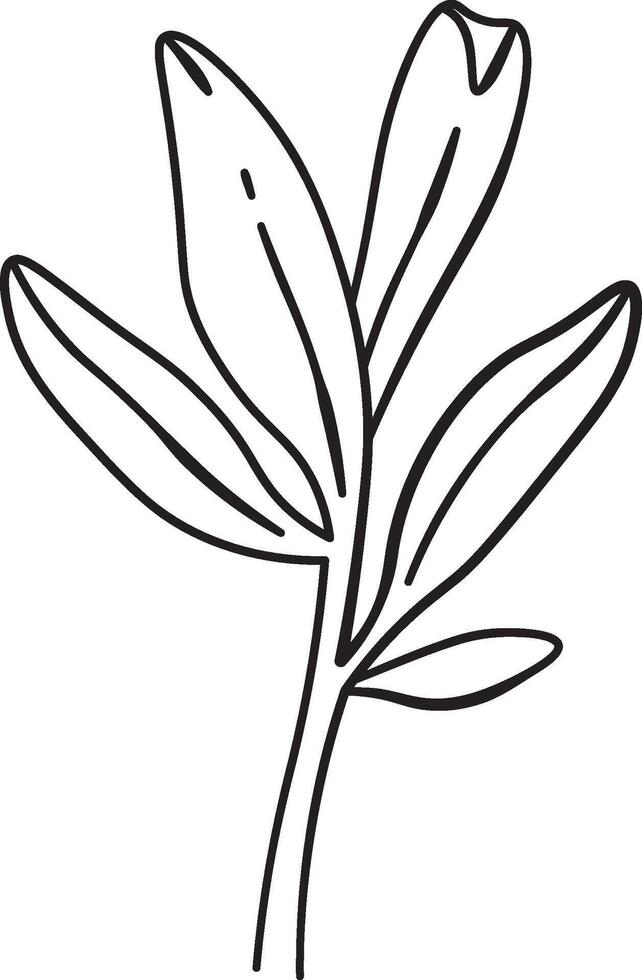 Minimalist Peony Floral Leaf vector