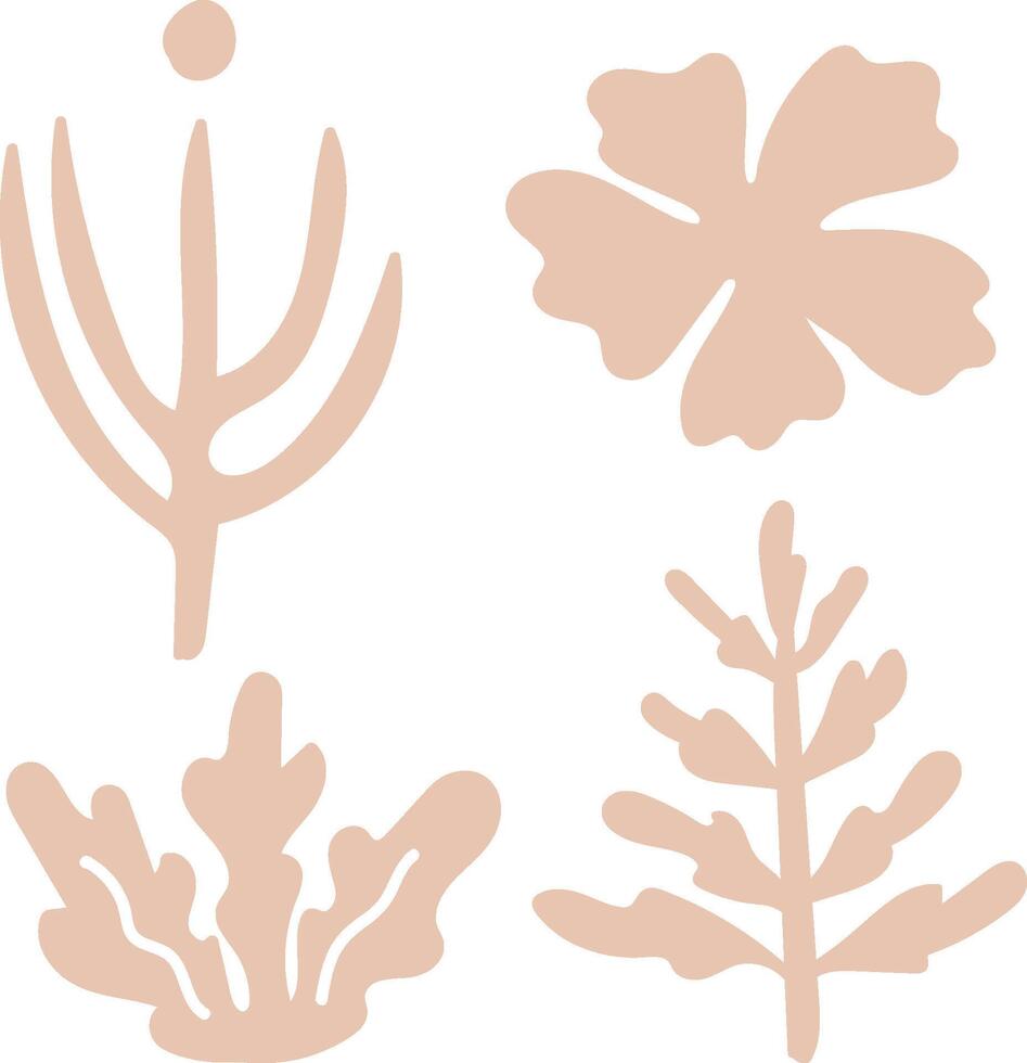 Abstract Botanical Shapes Designs vector