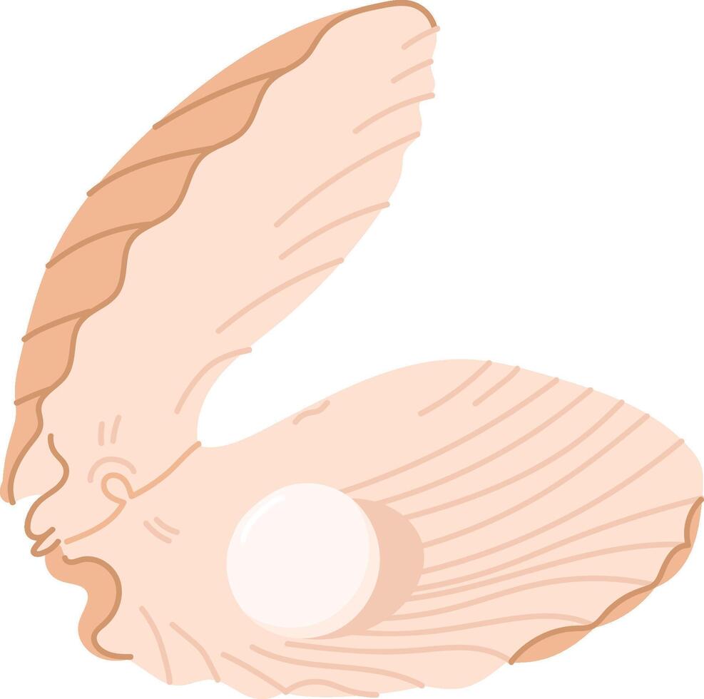 Oyster Shell Pearl vector