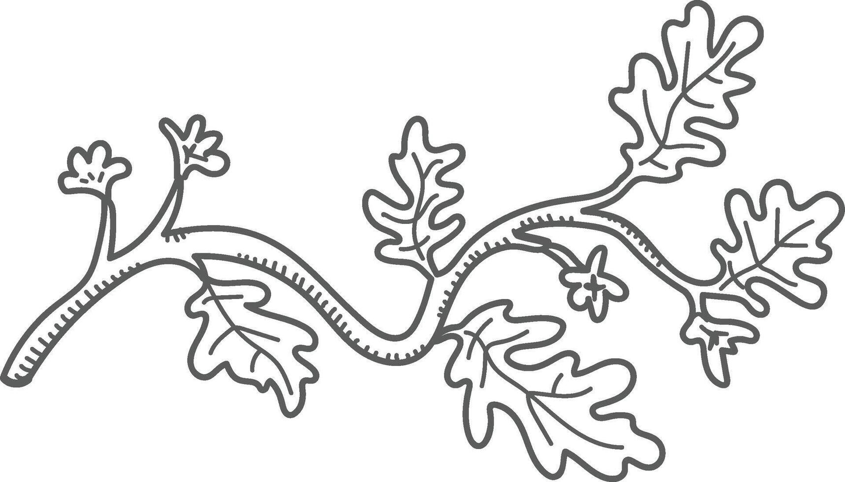 Oak Leaf Branch Drawing vector