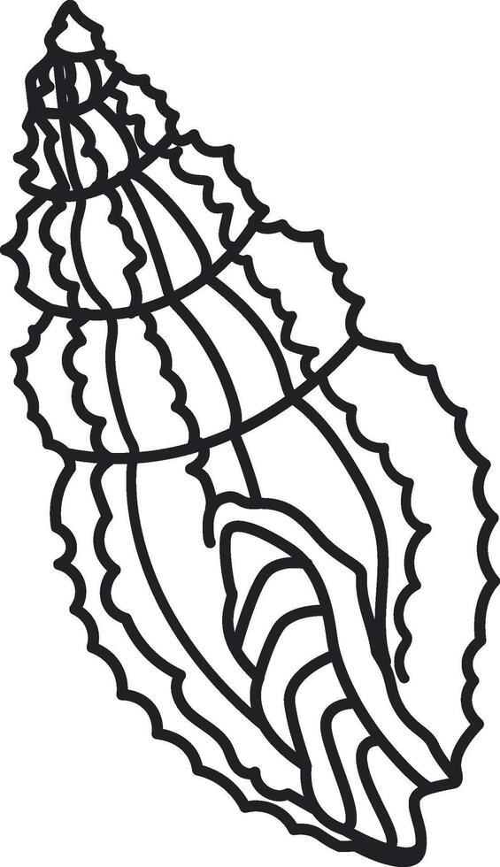 Spiral Seashell Outline vector