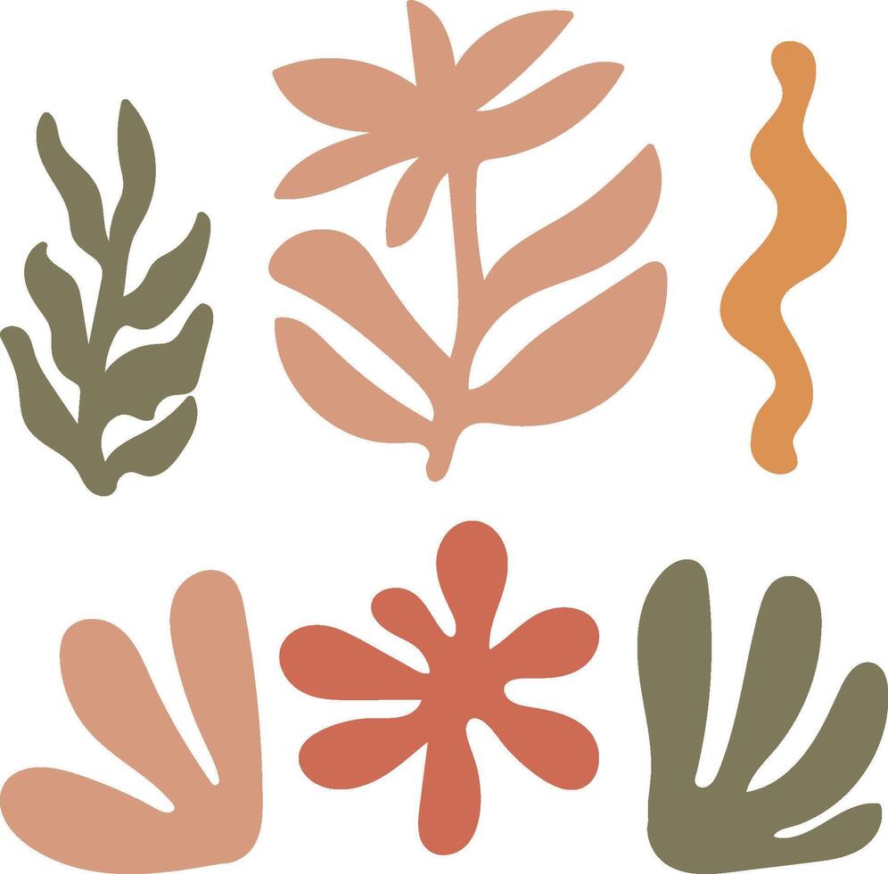 Botanical Shapes Collection vector