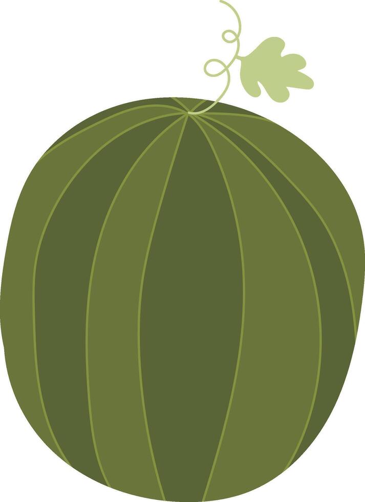 Watermelon Fruit Hand Drawn vector